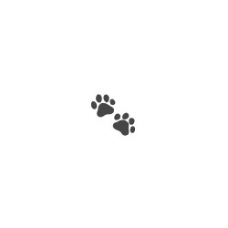 blog related posts