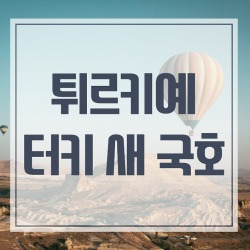 blog related posts