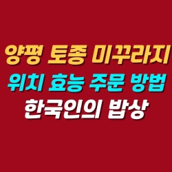 블로그 관련글
