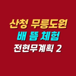 블로그 관련글