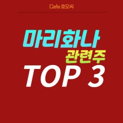 블로그 관련글