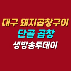 블로그 관련글