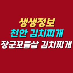 블로그 관련글