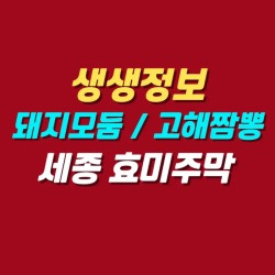 블로그 관련글