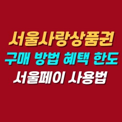 블로그 관련글