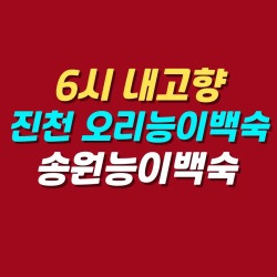 블로그 관련글