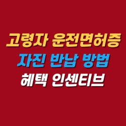 블로그 관련글