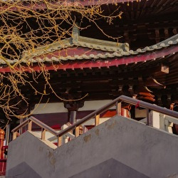 blog related posts