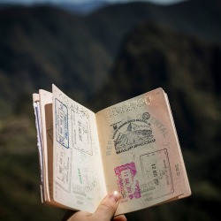 blog related posts