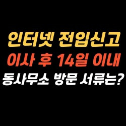 블로그 관련글