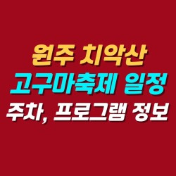 블로그 관련글