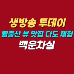 블로그 관련글