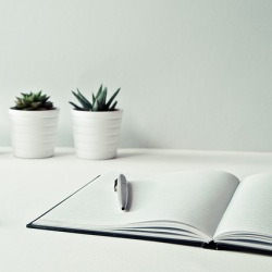 blog related posts