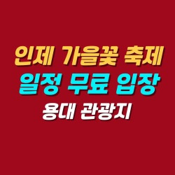 블로그 관련글