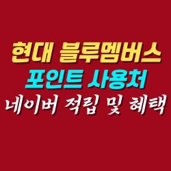 블로그 관련글