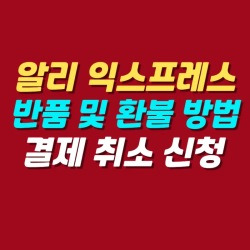 블로그 관련글