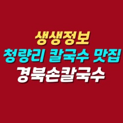 블로그 관련글