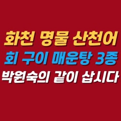 블로그 관련글