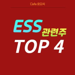 블로그 관련글