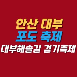 블로그 관련글