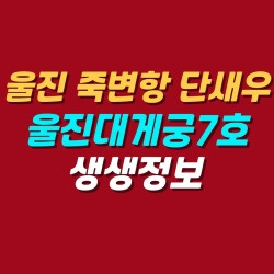 블로그 관련글