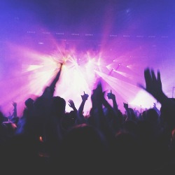 blog related posts