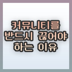 블로그 관련글