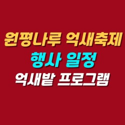 블로그 관련글