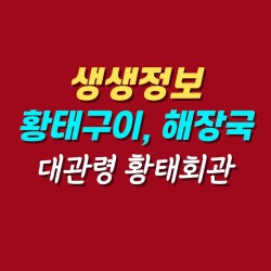 블로그 관련글