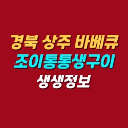 블로그 관련글