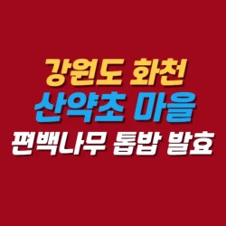 블로그 관련글