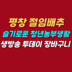 블로그 관련글