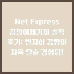 블로그 관련글