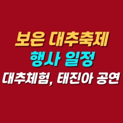 블로그 관련글