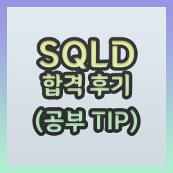 블로그 관련글