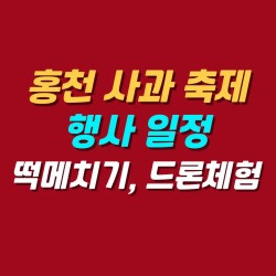 블로그 관련글