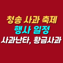 블로그 관련글