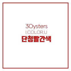 블로그 관련글