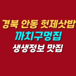 블로그 관련글