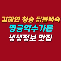 블로그 관련글