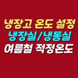 블로그 관련글