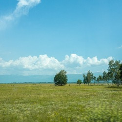 blog related posts