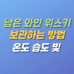 블로그 관련글