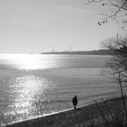 blog related posts