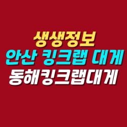 블로그 관련글