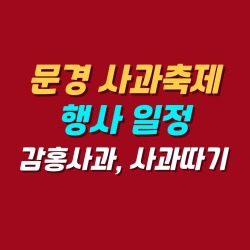 블로그 관련글