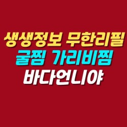블로그 관련글
