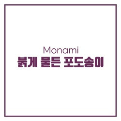 블로그 관련글