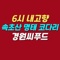 블로그 관련글