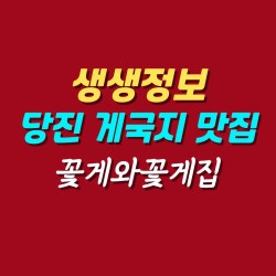 블로그 관련글